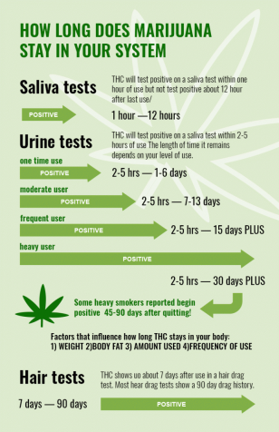 How Long Does Weed Stay In Your System: Urine, Saliva, Hair & Blood