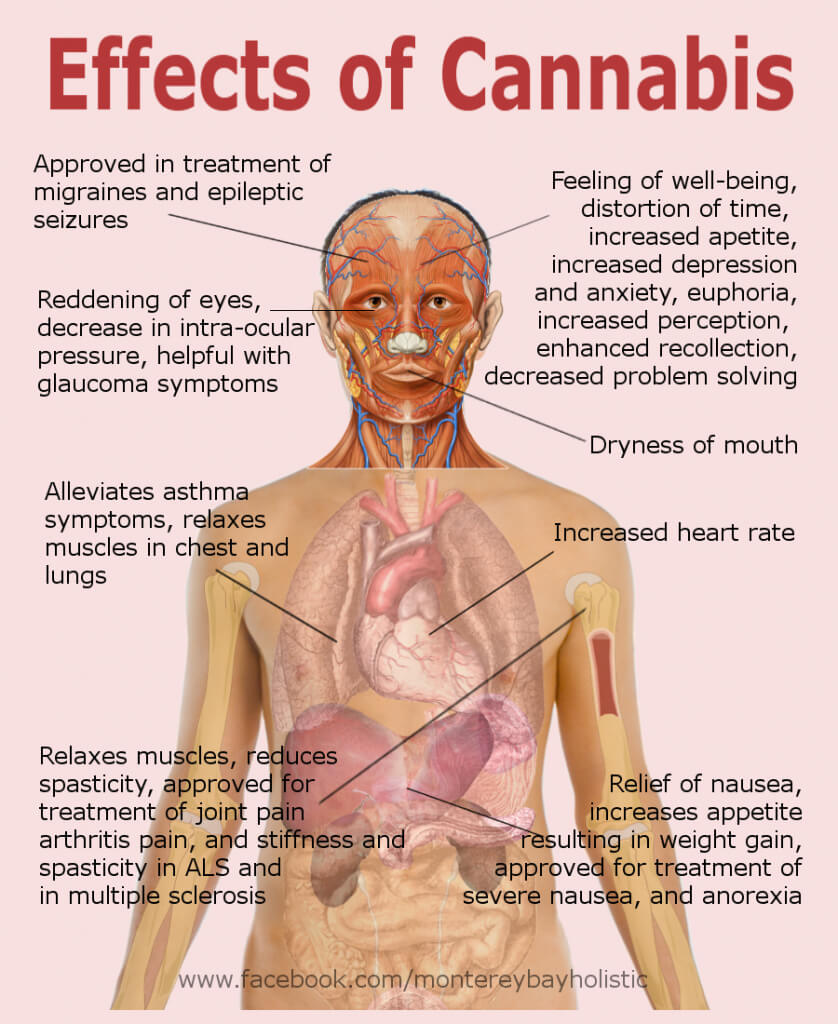 research articles on effects of marijuana