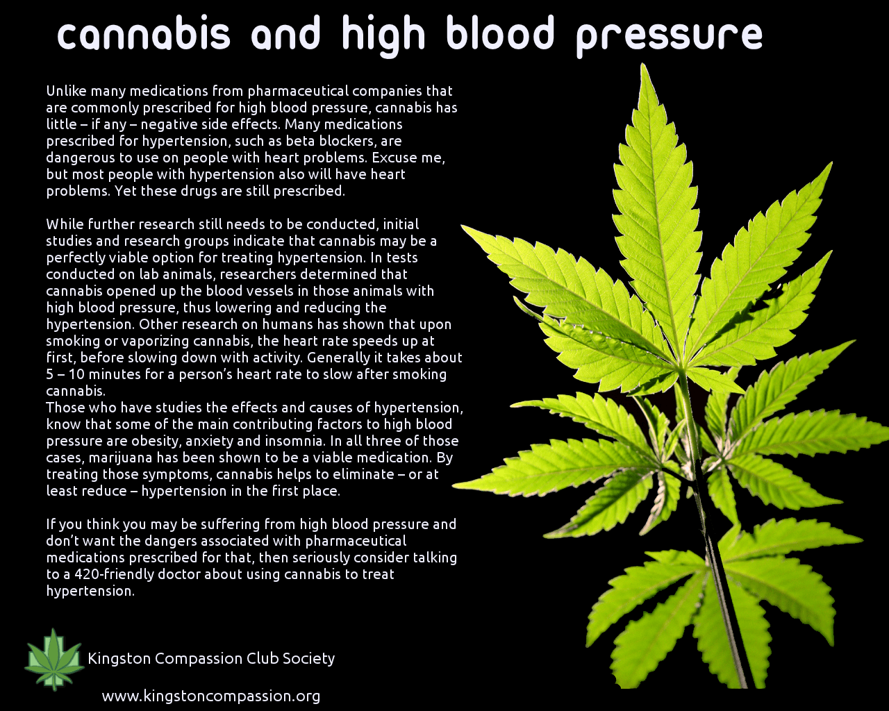 Cannabis and its impact on high blood ...