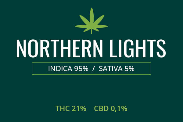 Marijuana Northern Lights