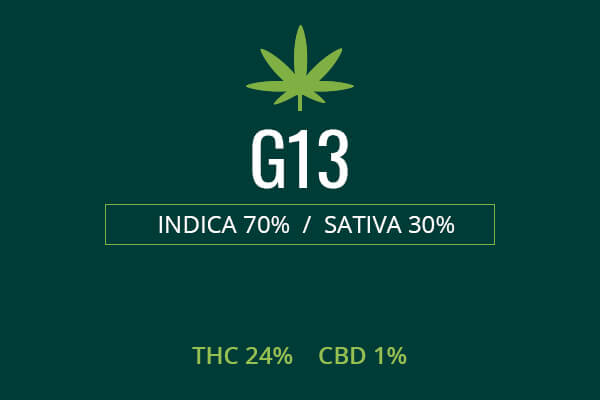 Marijuana G13