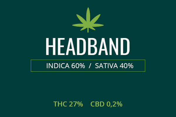 Marijuana Headband