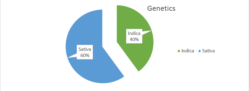 cannabis Blue Dream genetics