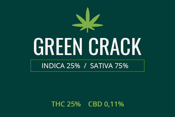 Marijuana Green Crack