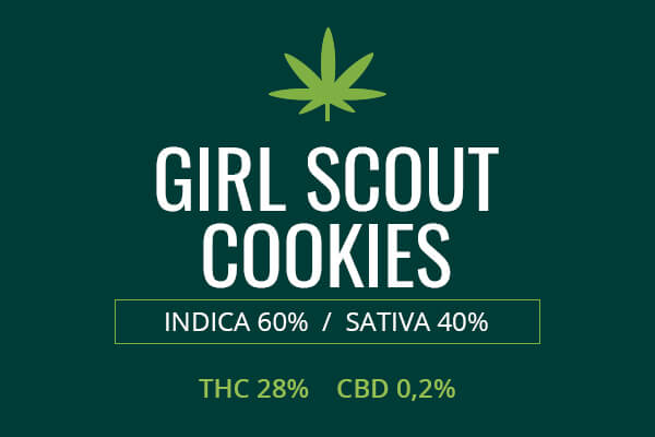 Marijuana Girl Scout Cookies