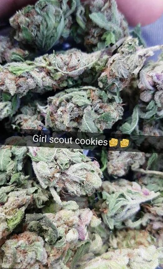 Girl Scout Cookies pot