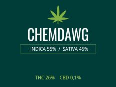 Marijuana Chemdawg