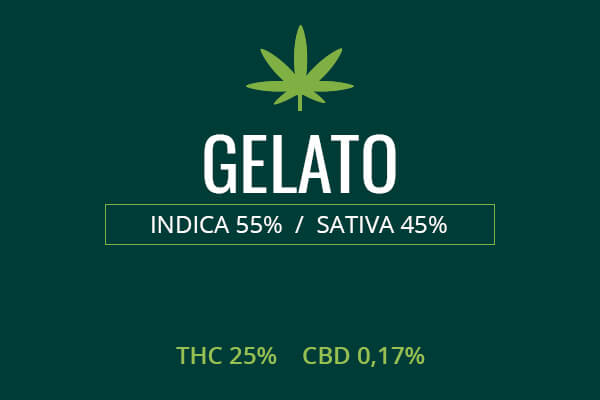 Marijuana Gelato