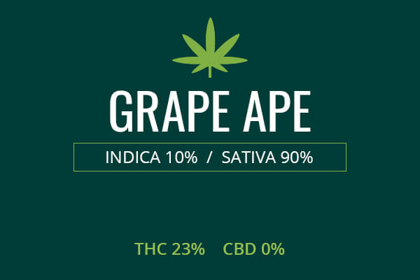 Marijuana Grape Ape