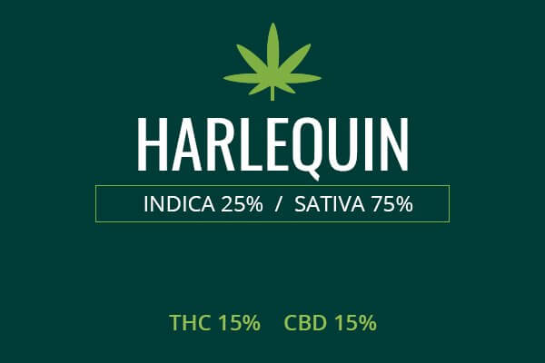 Marijuana Harlequin