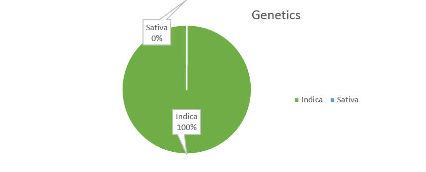 Hindu Kush weed strain genetics