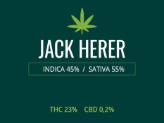 Marijuana Jack Herer