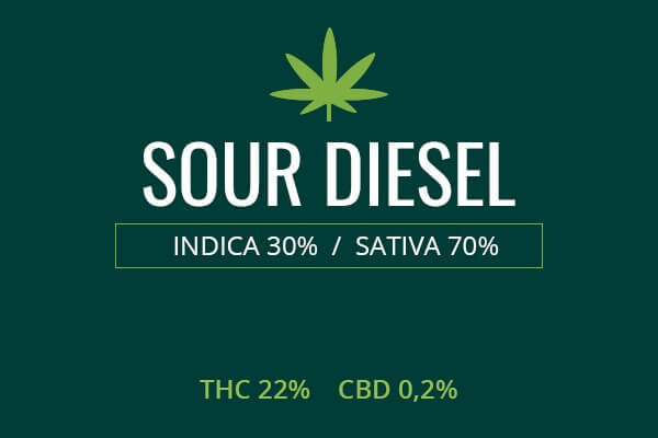 Marijuana Sour Diesel