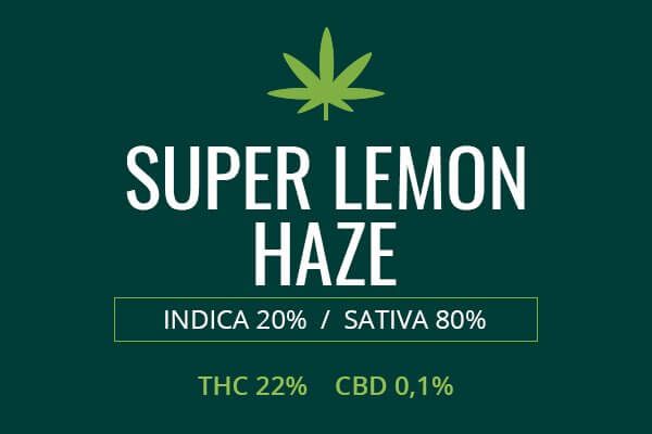 Marijuana Super Lemon Haze