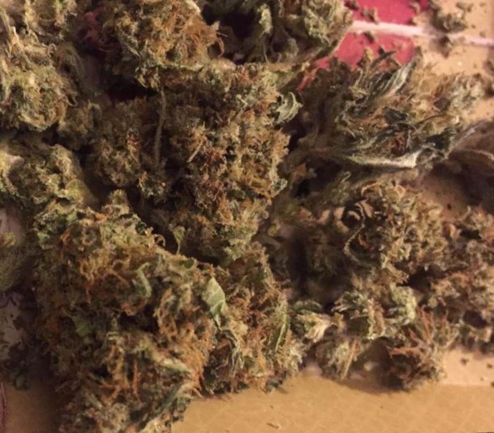 cannabis Strawberry Cough strain
