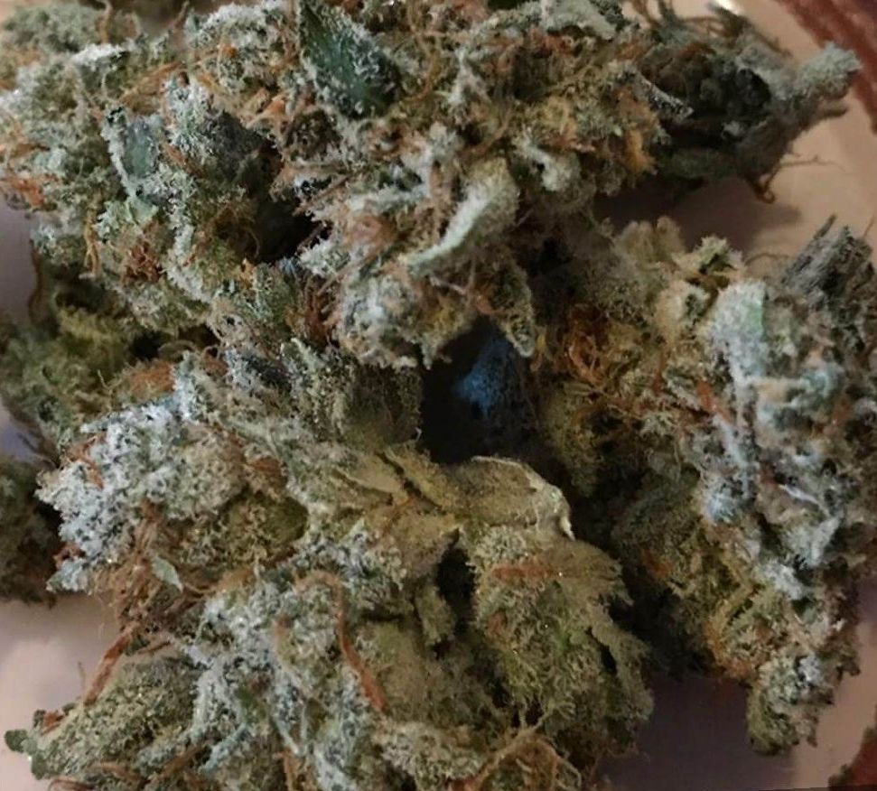 Cannabis Hindu Kush strain