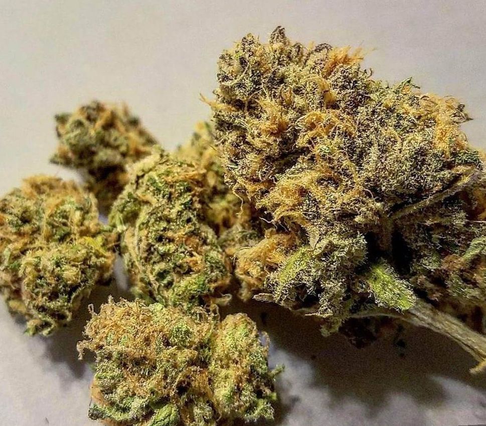 marijuana Strawberry Cough strain