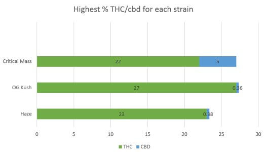 Cannabis Critical Mass strain THC CBD