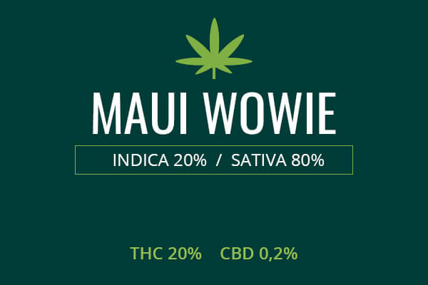 Marijuana Maui Wowie