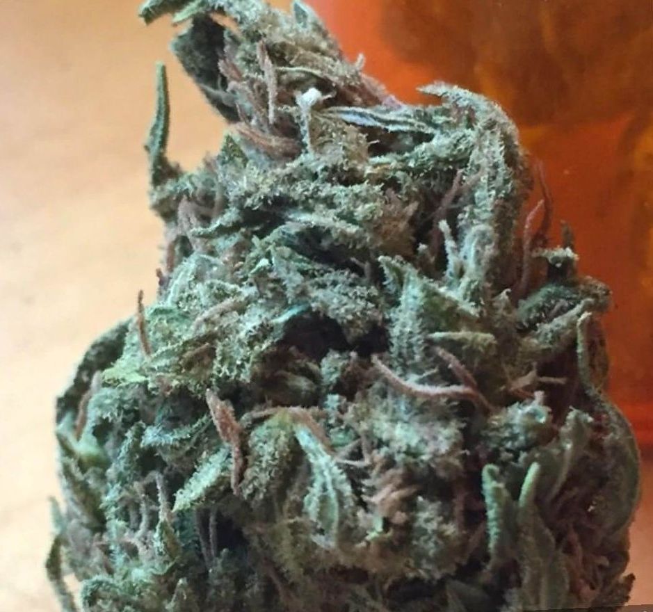Jack Frost Strain cannabis photo