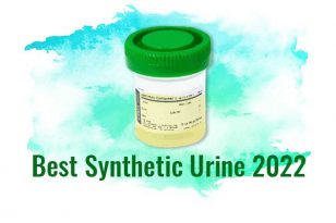 Best Synthetic Urine 2022