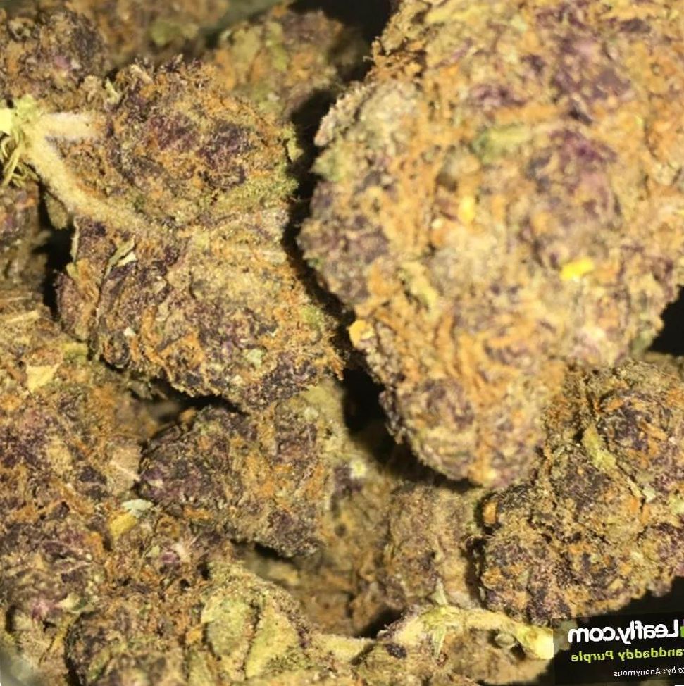 Granddaddy Purple weed review