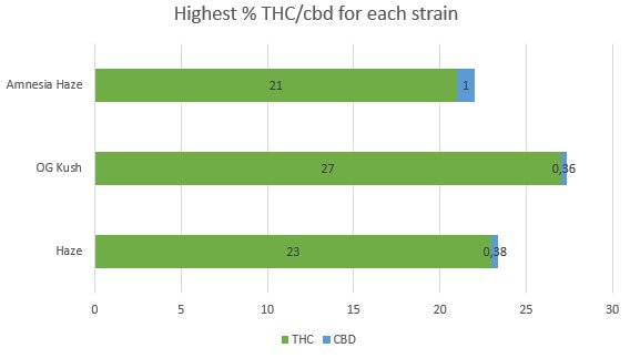 Cannabis Amnesia Haze THC CBD