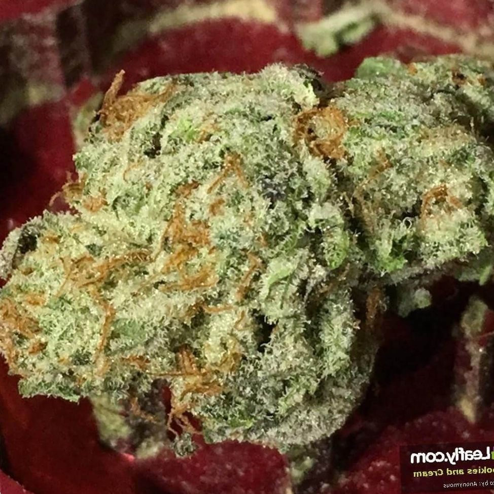 Cookies and Cream cannabis photo