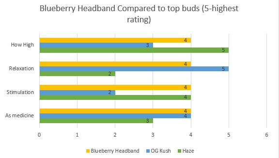 Blueberry Headband effects