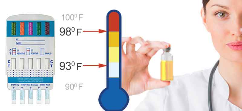 How To Get Urine To The Right Temperature For A Drug Test - Leaf Expert