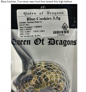 Marijuana Blue Cookies Strain Review - Leaf Expert