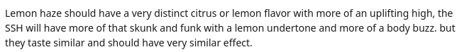Lemon Haze positive review