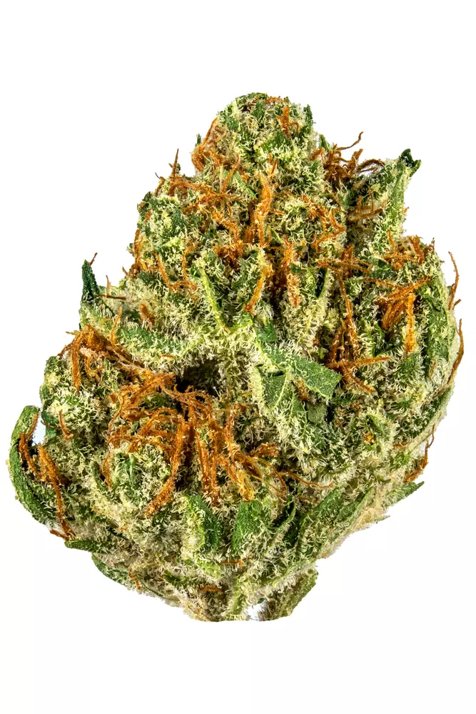 OrangeCreamsickle_Strain_cannabis_photo