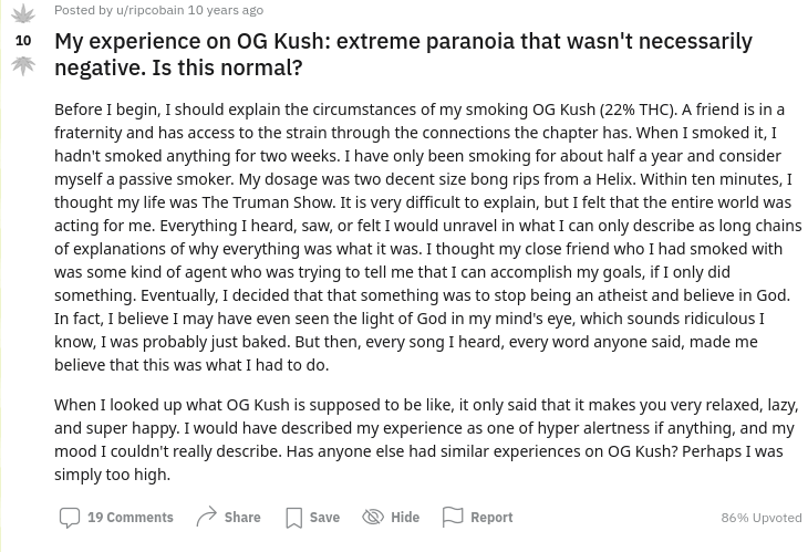 OGKush_Strain_cannabis_review