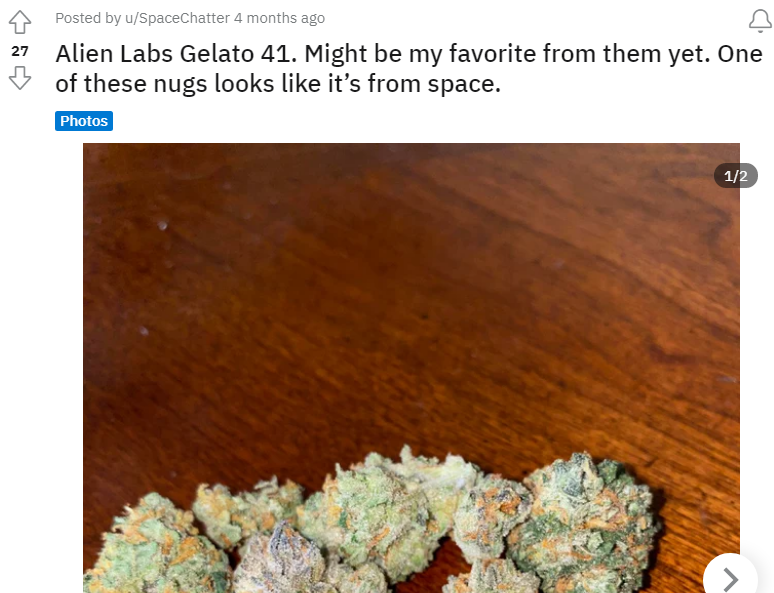 Gelato41_Strain _weed_review