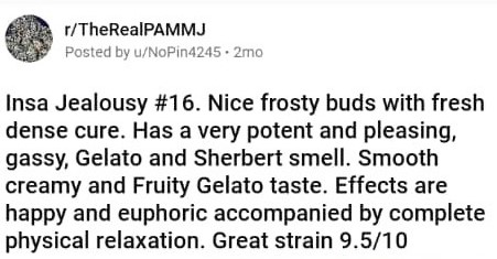 Jealousy_Strain_weed_review