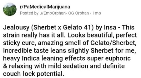 Jealousy_Strain_Weed_review_of_satisfyed_customer