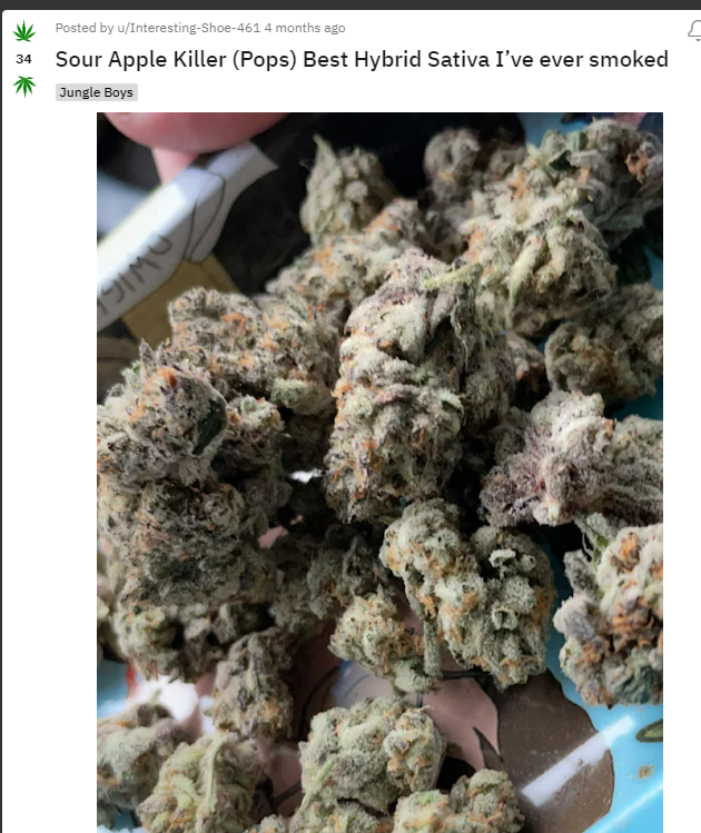 sourapple_strain_weed_positive_review
