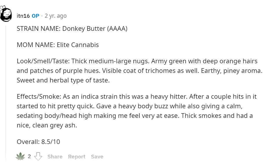 DonkeyButter_review_of_satisfied_user