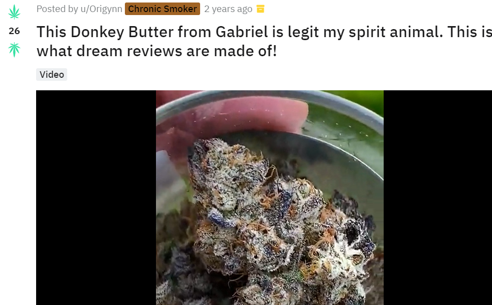 DonkeyButter_user_review